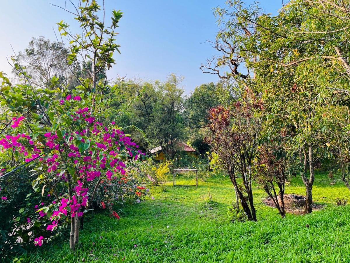 Coorg Daffodil Guesthouse Мадикери Экстерьер фото