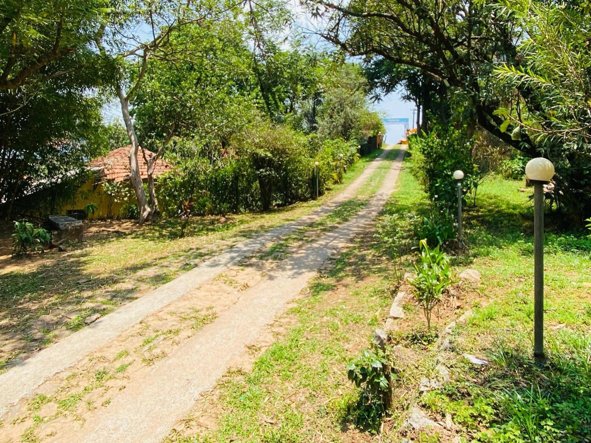 Coorg Daffodil Guesthouse Мадикери Экстерьер фото